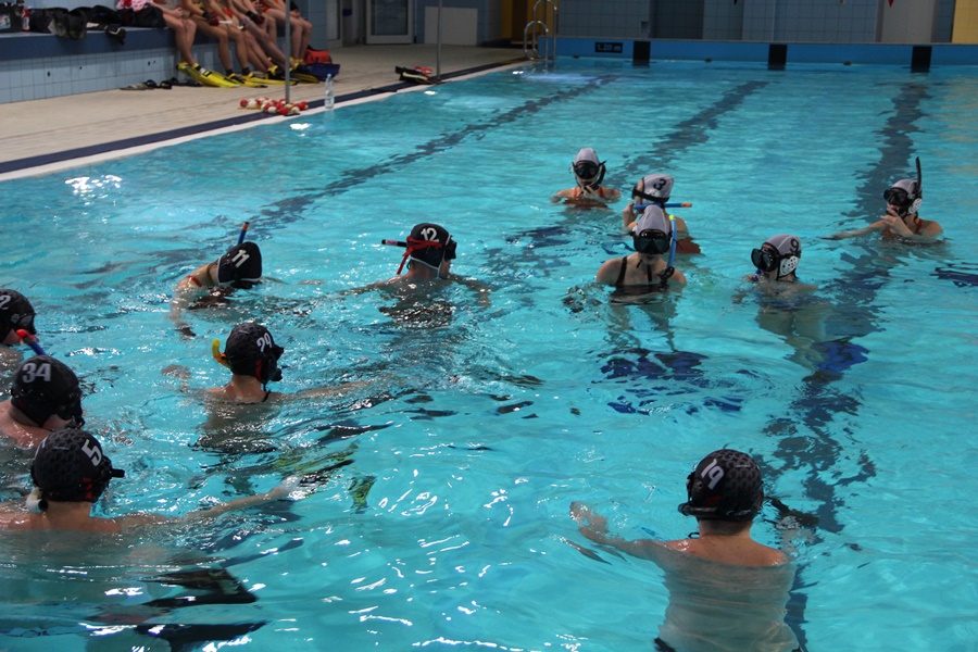 Hokej pod wodą Walenie Hydra w Michałkowicach 2017